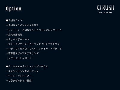 MERCEDES-BENZ G-CLASS - 2