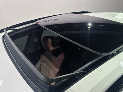 2025 BMW X6 缩略图 19