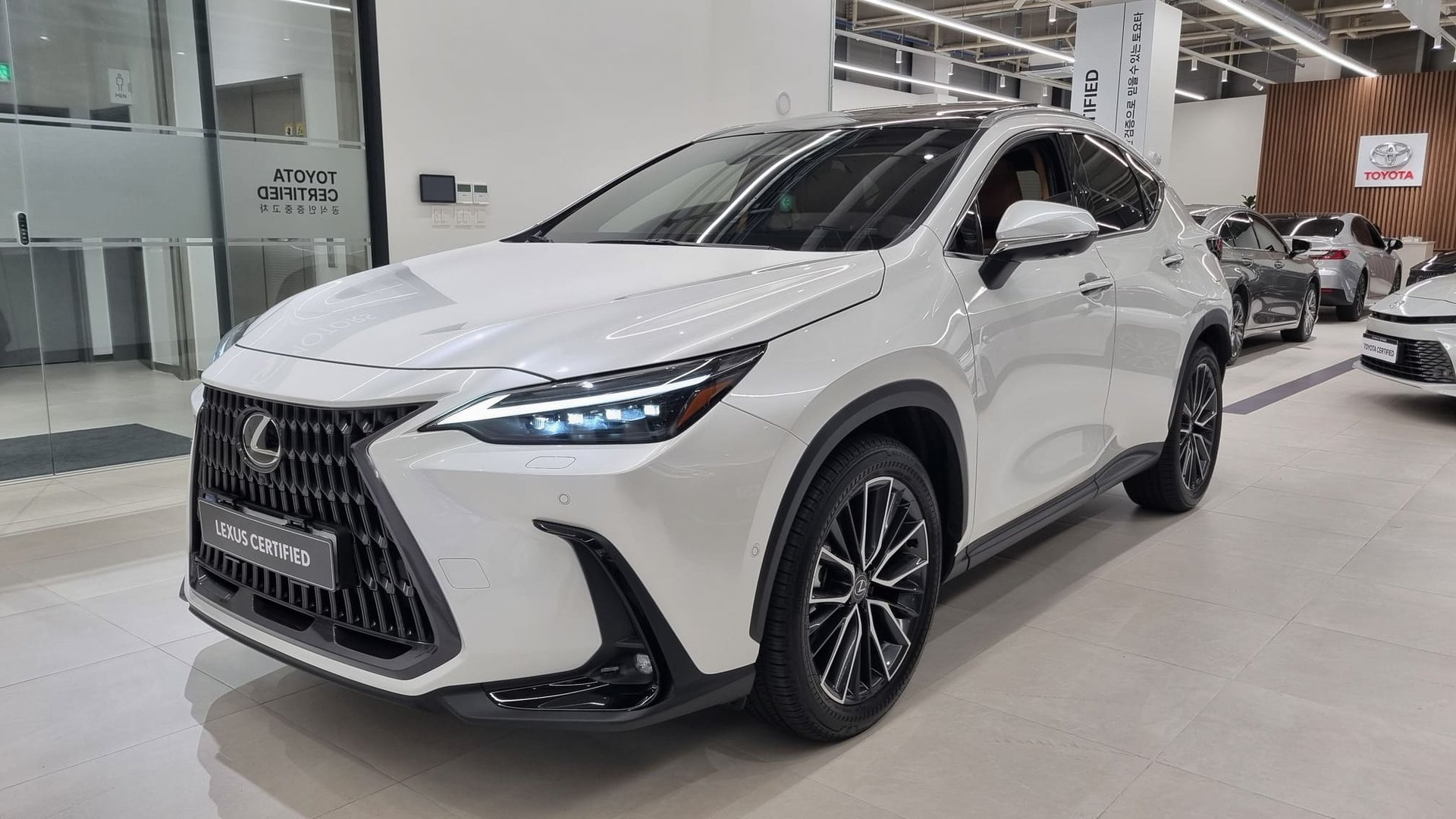 LEXUS NX - View 1