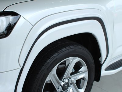 2023 Toyota LAND CRUISER 300 缩略图 22