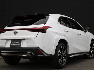 LEXUS UX - 10
