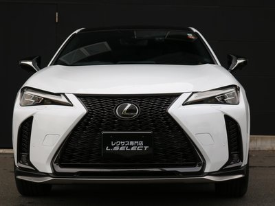 LEXUS UX - 7