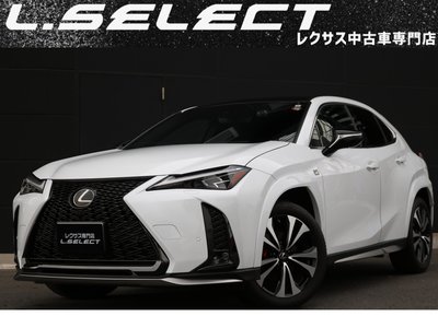 LEXUS UX - 1