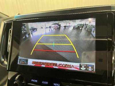 2022 Toyota ALPHARD 照片 10