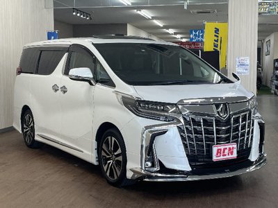 2022 Toyota ALPHARD 照片 2