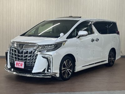 2022 Toyota ALPHARD 照片 1