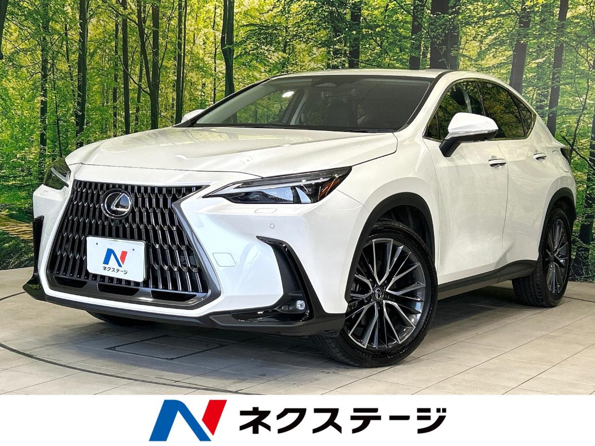 LEXUS NX - View 1
