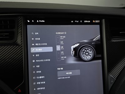 2019 Tesla MODEL X — миниатюра 24