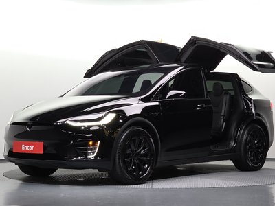 2019 Tesla MODEL X 照片 2
