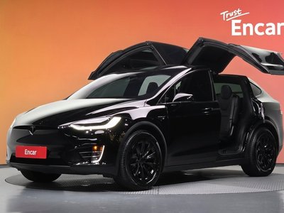 2019 Tesla MODEL X 照片 1