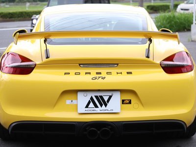 2016 Porsche CAYMAN 缩略图 12