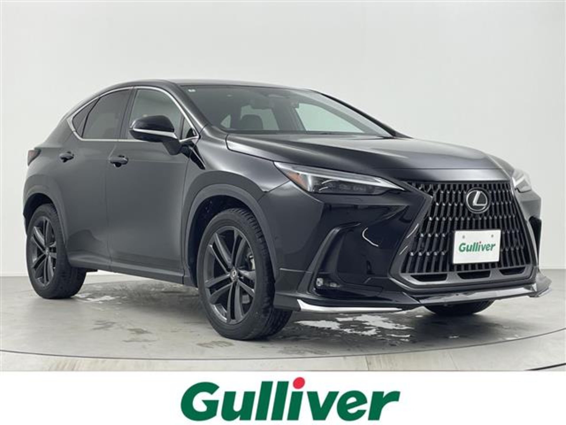 LEXUS NX - View 1