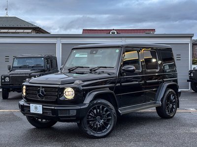 MERCEDES-BENZ G-CLASS - 2