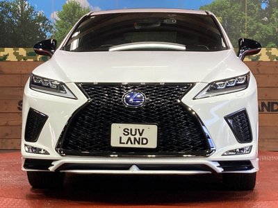 2021 Lexus RX 缩略图 14