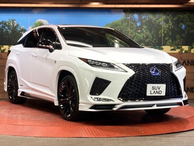 2021 Lexus RX 缩略图 16