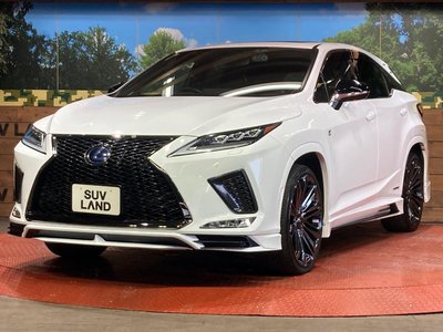 2021 Lexus RX 缩略图 27