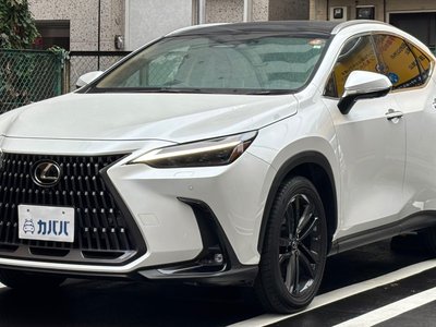 LEXUS NX 250 VERSION L