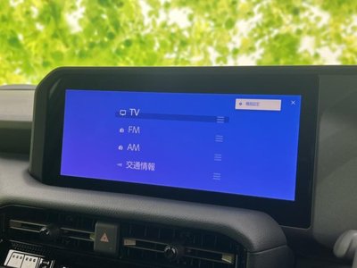 2024 Toyota LAND CRUISER 250 缩略图 11