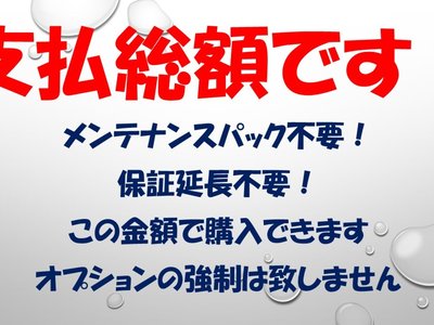 2023 Toyota ALPHARD 照片 4