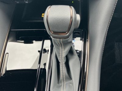2023 Toyota ALPHARD 照片 31