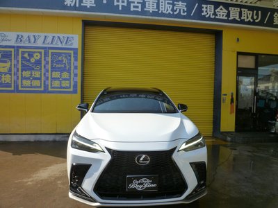 2022 Lexus NX — фото 2