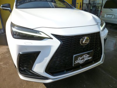 2022 Lexus NX — миниатюра 15