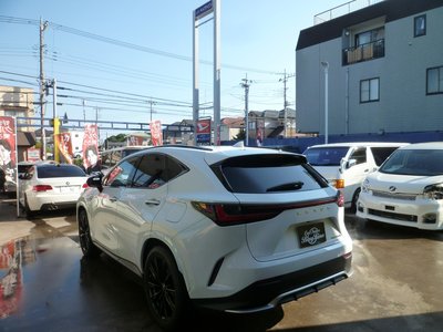 2022 Lexus NX — фото 4