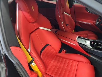 2024 Ferrari PUROSANGUE 缩略图 18