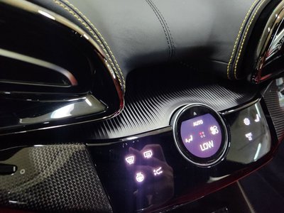 2024 Ferrari PUROSANGUE 缩略图 14