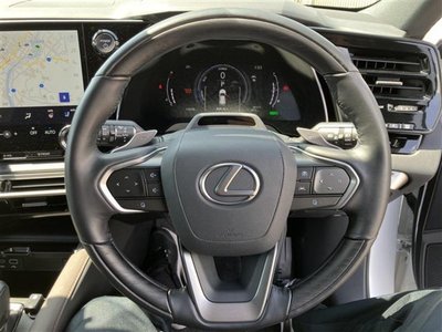 2024 Lexus RX — миниатюра 17