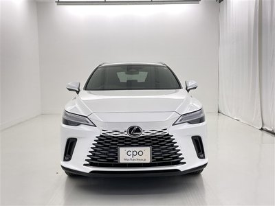 2025 Lexus RX — миниатюра 16