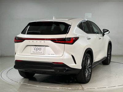 LEXUS NX - 6