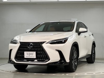 LEXUS NX - 1