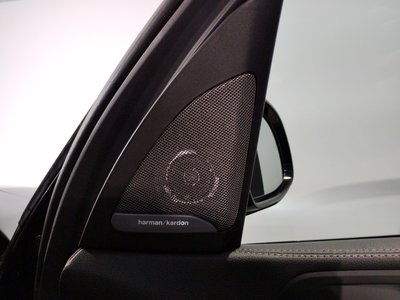 2023 BMW X5 缩略图 25