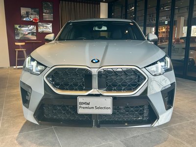 BMW X2 - 10