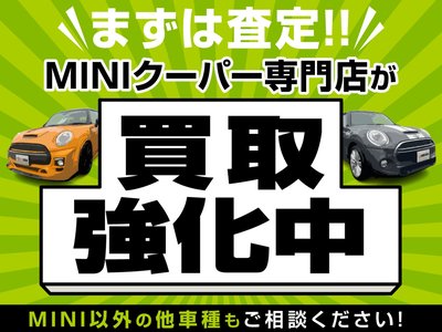 MINI MINI COUNTRYMAN - 2