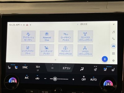 2025 Toyota ALPHARD thumbnail 15