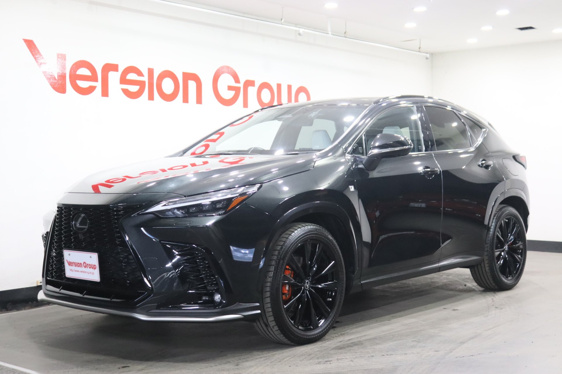 LEXUS NX - View 1