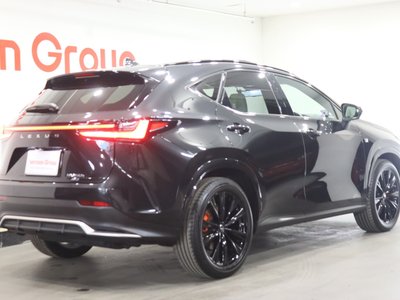 LEXUS NX - 4