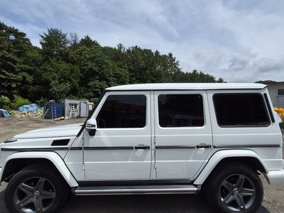 2017 Mercedes-BENZ G-CLASS 缩略图 13