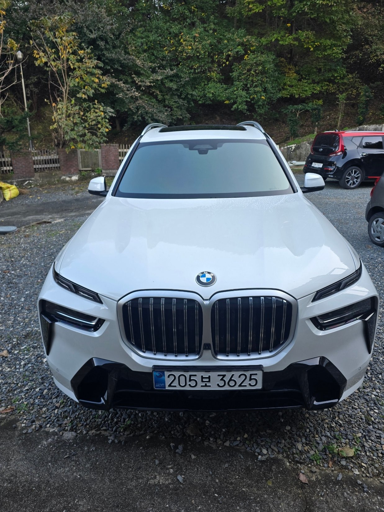 BMW X7 - View 1