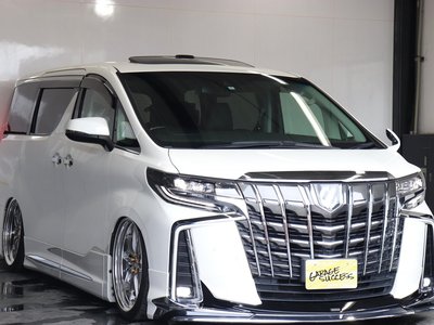 2020 TOYOTA ALPHARD 缩略图 55