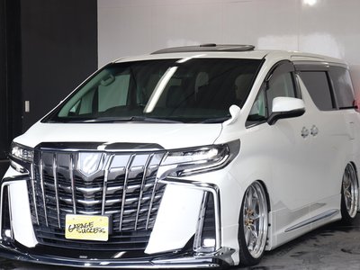 2020 TOYOTA ALPHARD 缩略图 12