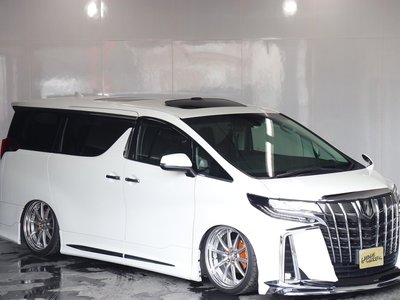 2020 TOYOTA ALPHARD 缩略图 42