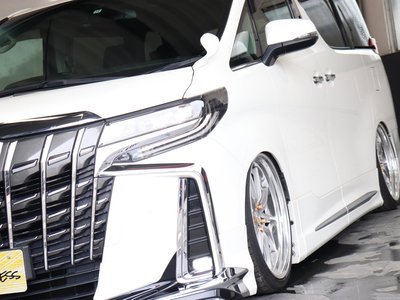2020 TOYOTA ALPHARD 缩略图 13