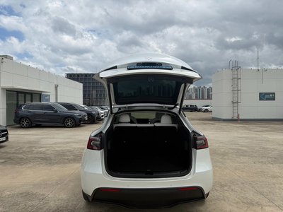 2022 Tesla MODEL Y 缩略图 11