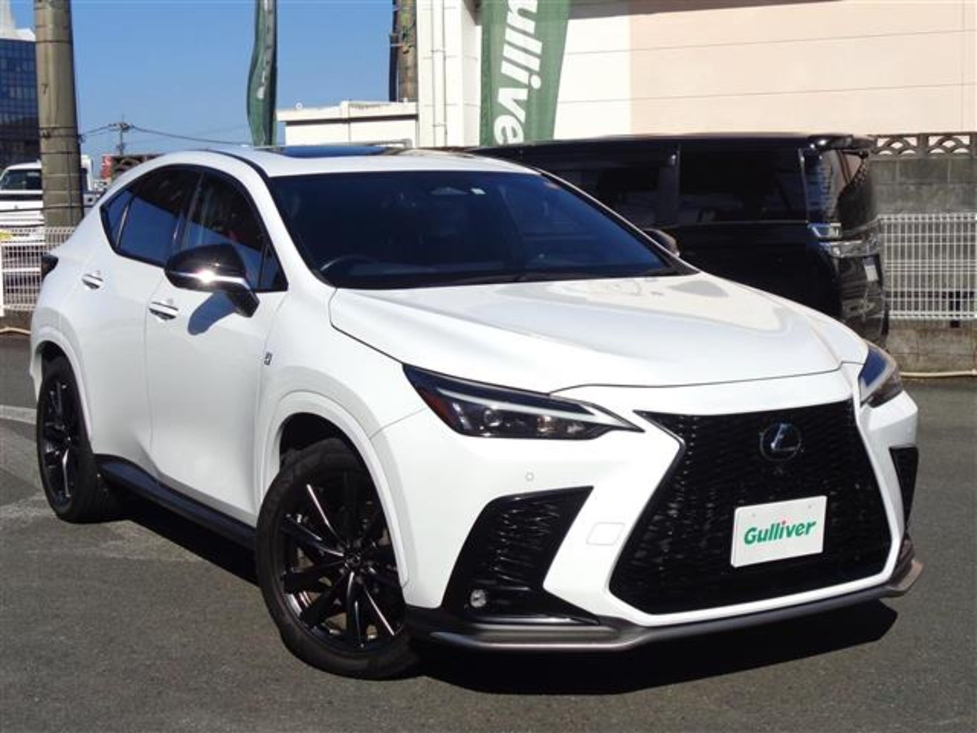 LEXUS NX - View 1