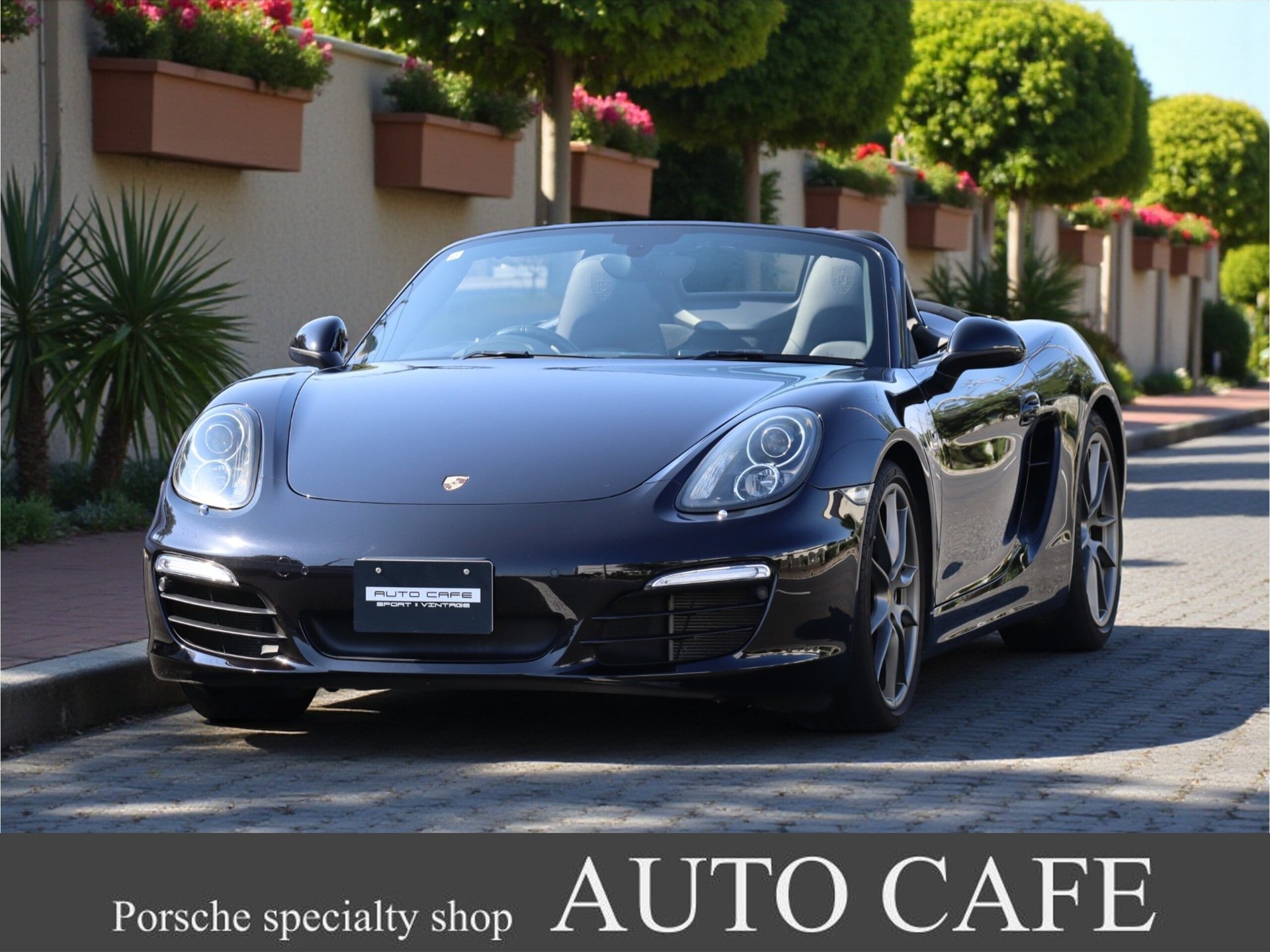 PORSCHE BOXSTER - View 1