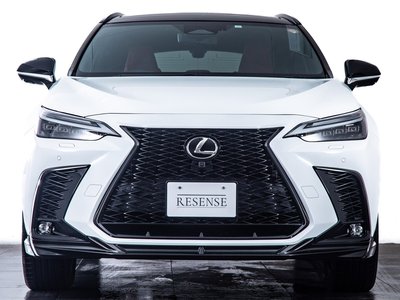 LEXUS NX - 6
