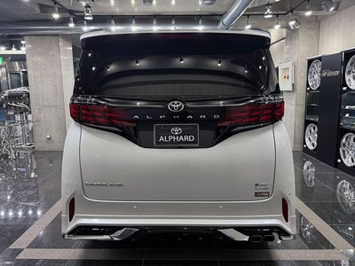 2025 TOYOTA ALPHARD 照片 6